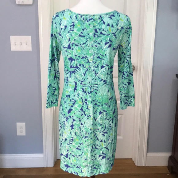 Marlowe - Koala of the Wild size - Picture 4 of 4